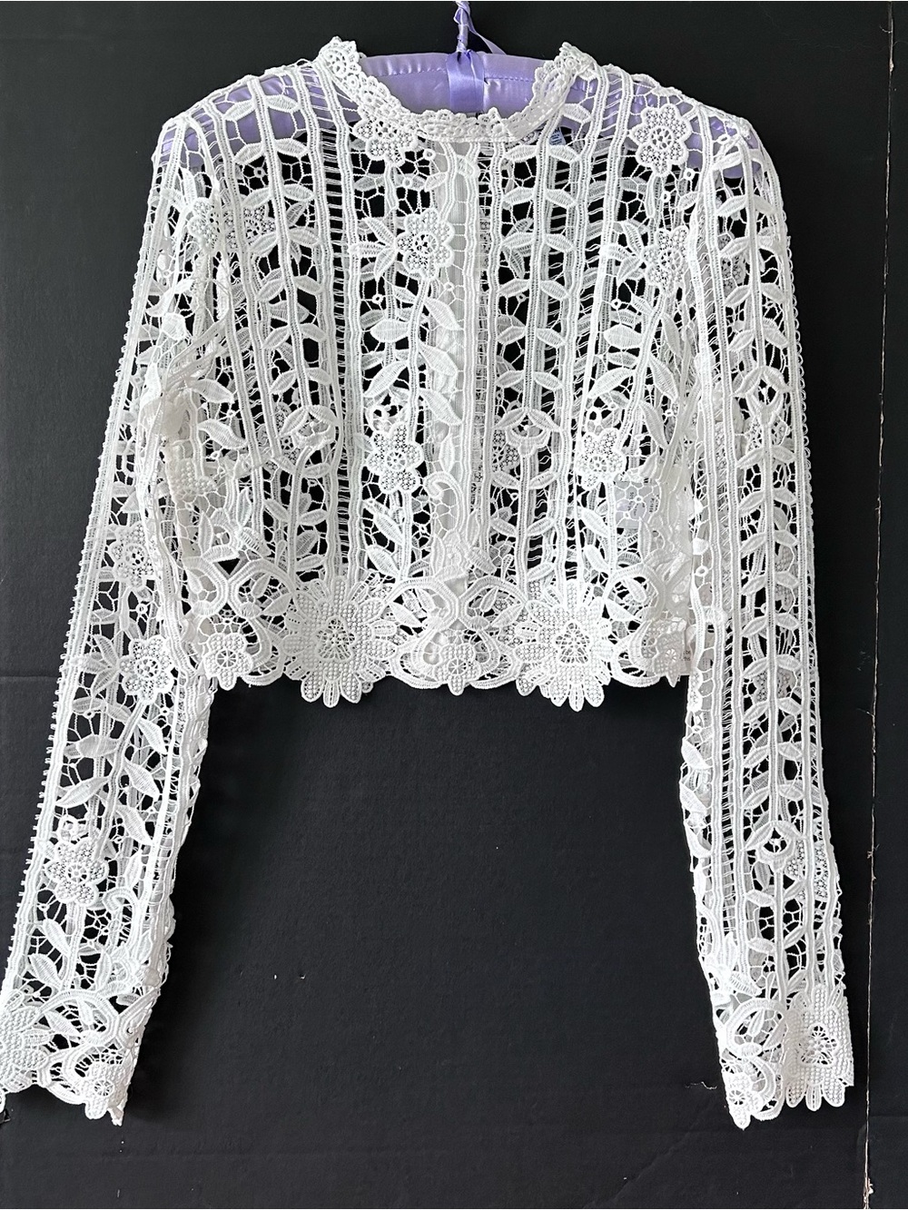 Women's Tobi White Cropped Crochet Lace Long-Sleeve Top